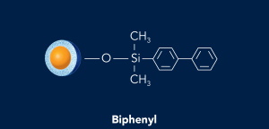 HALO Biphenyl phase