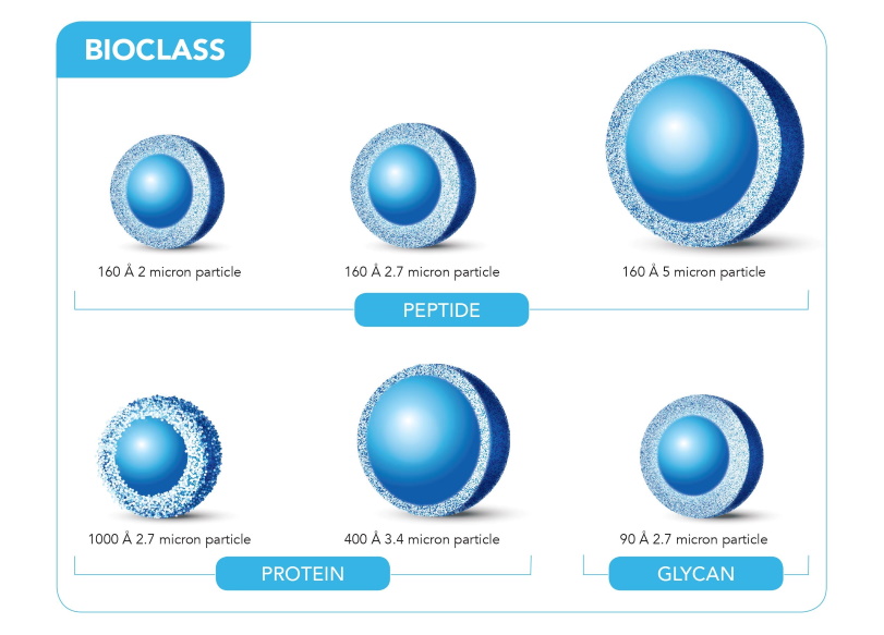 HALO BioClass columns