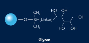 HALO BioClass Glycan