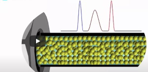 Extra column volume